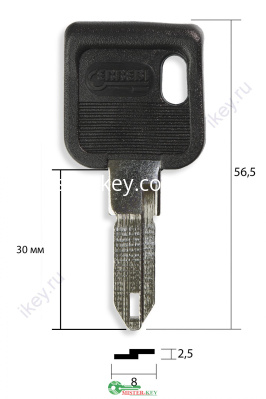 NE55P